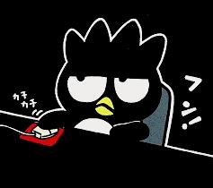 Badtz-Maru does not care for this website